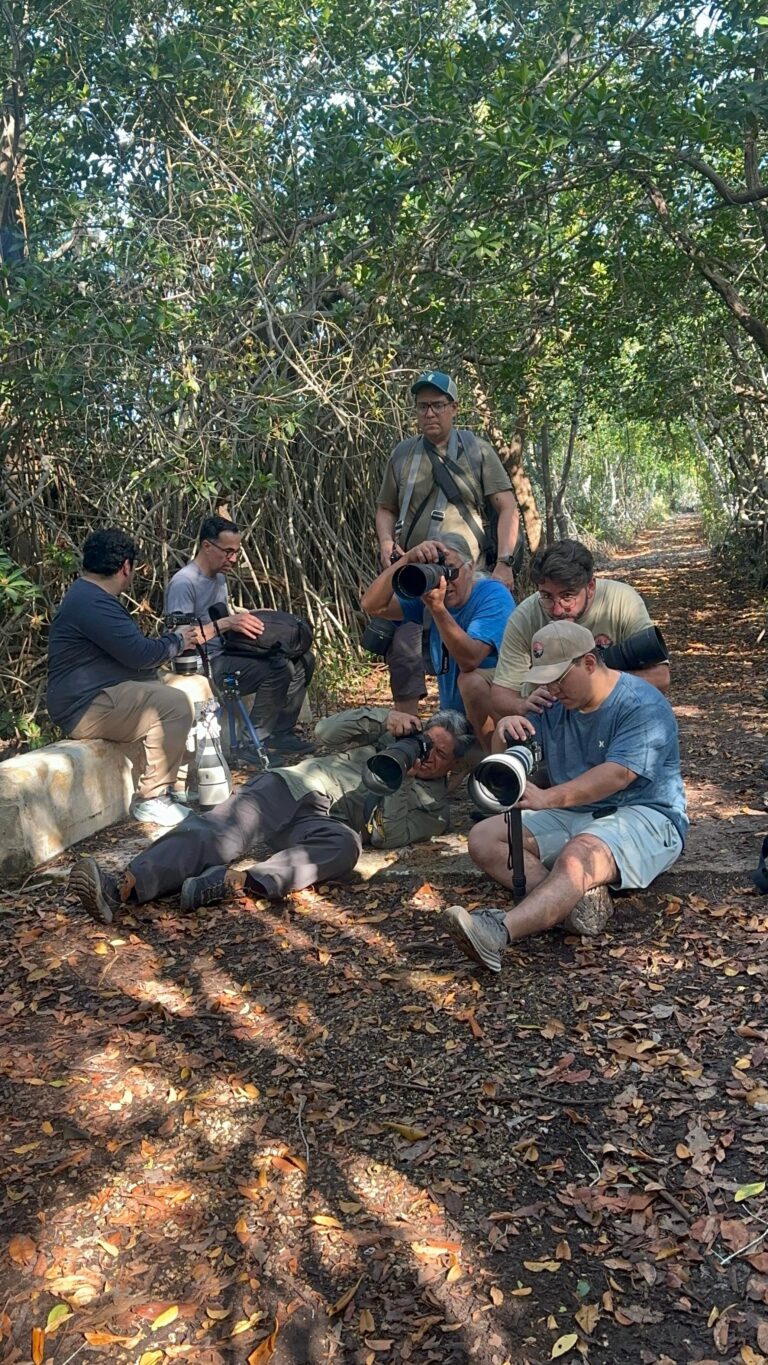 Fotógrafos descansando en el bosque