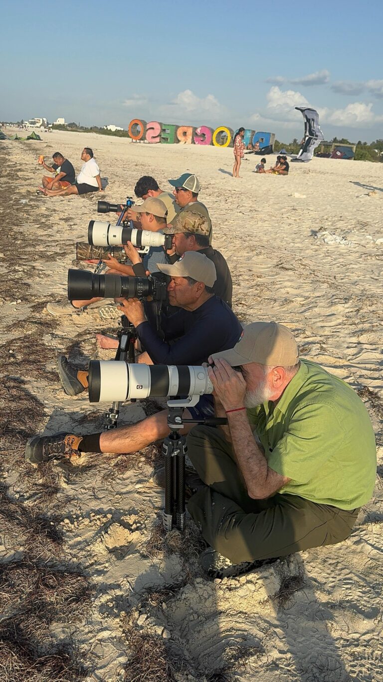 Fotógrafos trabajando en campo