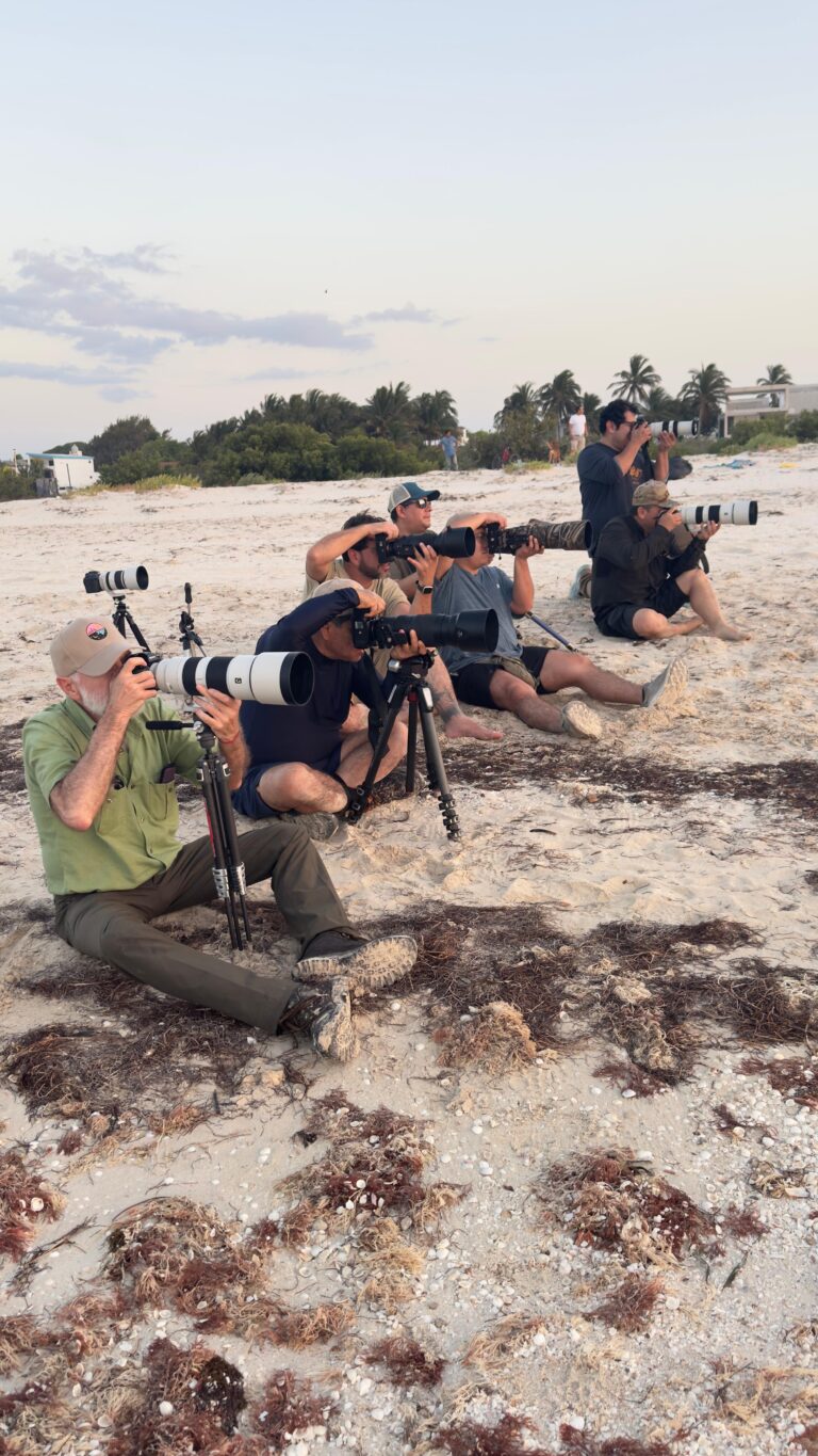 Fotógrafos con tripié en la playa
